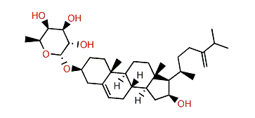 24-Methylenecholest-5-ene-3b,16b-diol 3-O-a-L-fucopyranoside